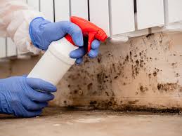 Best Mold Removal for HVAC Installations  in Franklin, CA